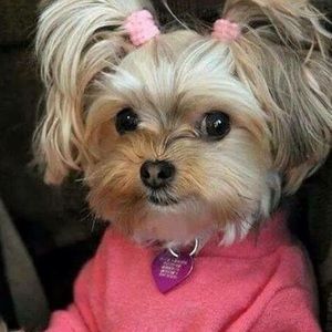 Meet your Posher, Grace