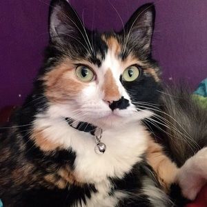 Meet your Posher, Gabbie