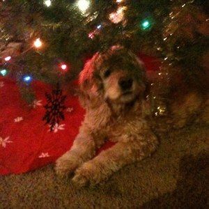 Meet your Posher, Christa