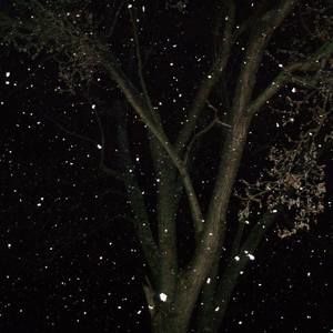 Meet your Posher, Sherry