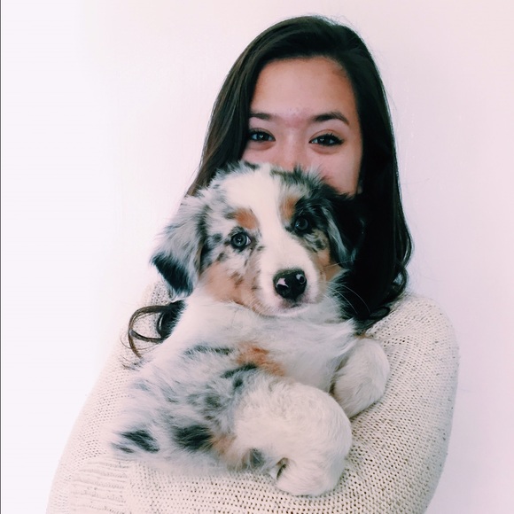 Meet your Posher, Ana - Picture 1 of 1