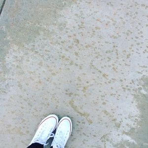 Meet your Posher, Chloe