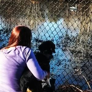 Meet your Posher, Hillary