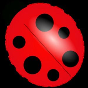 Meet your Posher, Jeanna