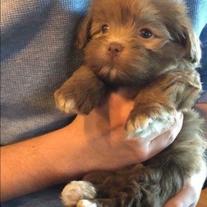 Meet your Posher, Gina