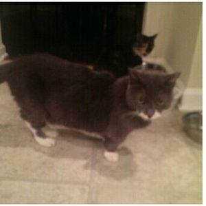 Meet your Posher, Brandon