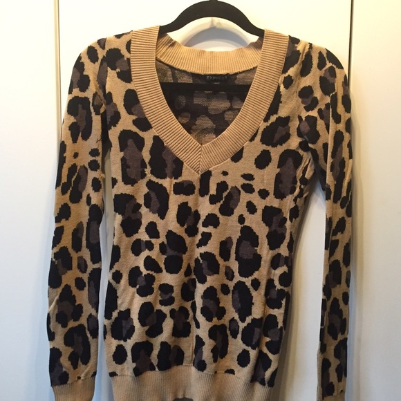 EXPRESS Wild Leopard Jacquard V-neck Sweater - Picture 4 of 4