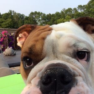 Meet your Posher, Tasha