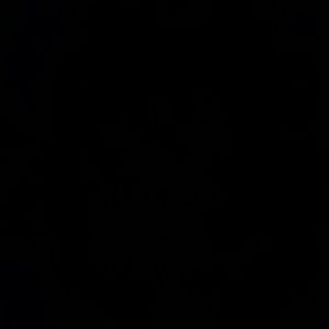 Meet your Posher, Frank