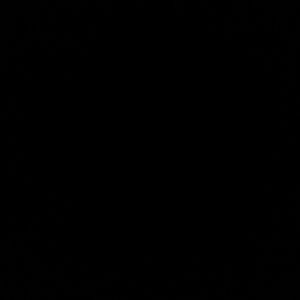 Meet your Posher, Cam