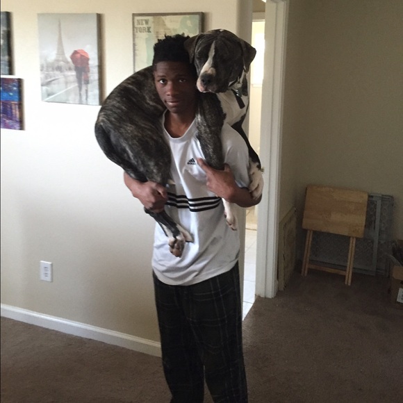 Meet your Posher, Niki - Picture 2 of 7