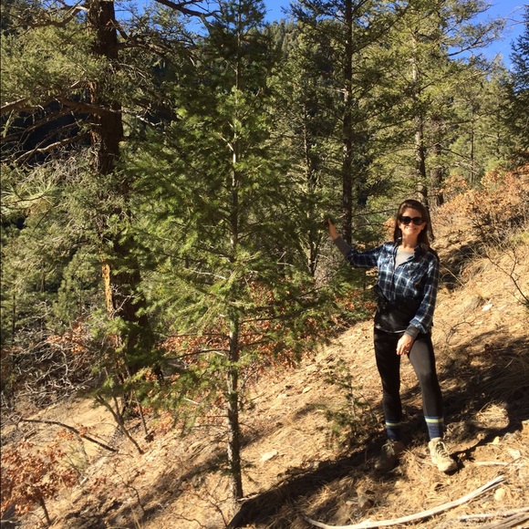 Meet your seller/buyer - Picture 2 of 4