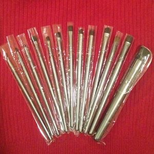 13 Piece Professional Brush Set
