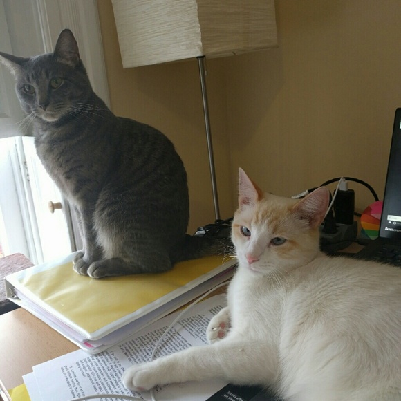 Meet your Posher, Jennifer - Picture 4 of 4