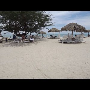 Meet your Posher, Vickie