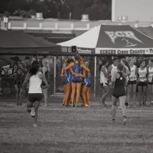 Meet your Posher, Bailey