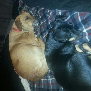 Meet your Posher, Kathy