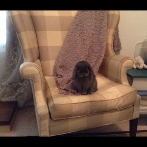 Meet your Posher, Joyce