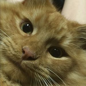 Meet your Posher, Jen