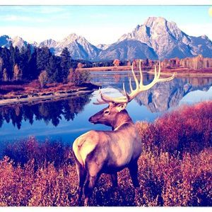 Meet your Posher, Wyett