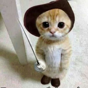 Meet your Posher, Elisa