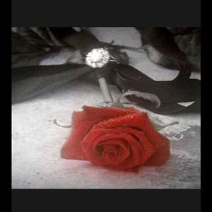 Meet your Posher, Karina