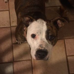 Meet your Posher, Claire