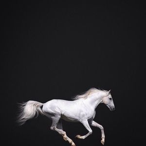 Meet your Posher, Kaitlyn