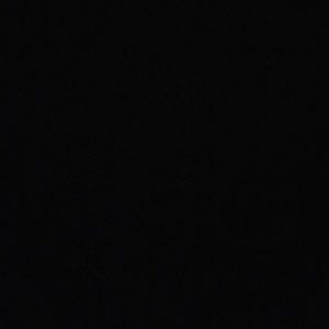 Meet your Posher, Sav