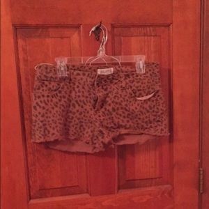 Cheetah Print Short Shorts