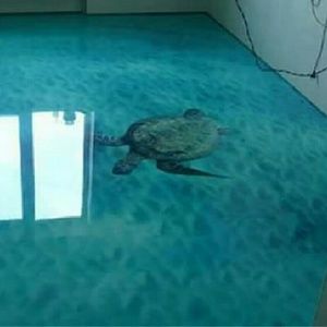 Meet your Posher, Claudia