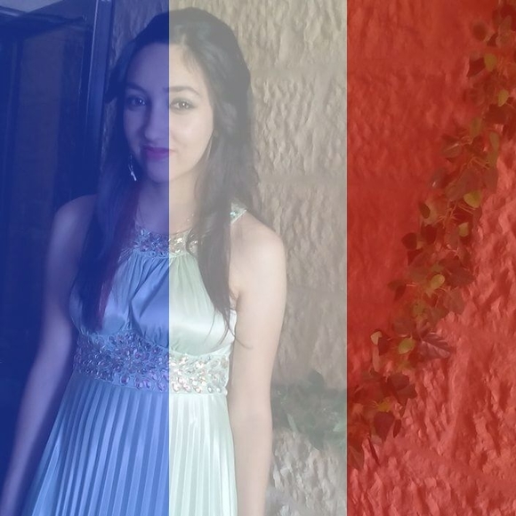 Meet your Posher, Farrah - Picture 4 of 4