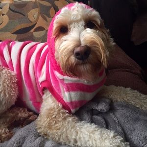 Meet your Posher, Jamie