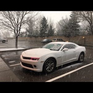 Meet your Posher, Renee