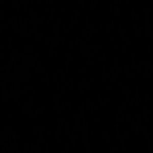 Meet your Posher, Shanna