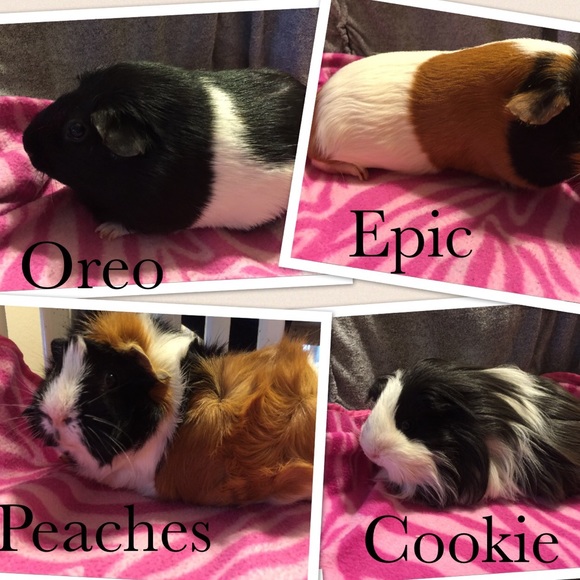 Meet your Posher, Kristin - Picture 2 of 3