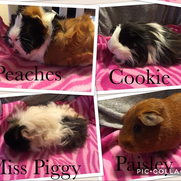 Meet your Posher, Kristin - Picture 3 of 3