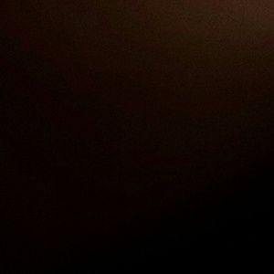 Meet your Posher, Raven