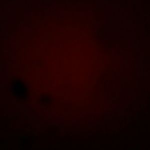 Meet your Posher, Hunter