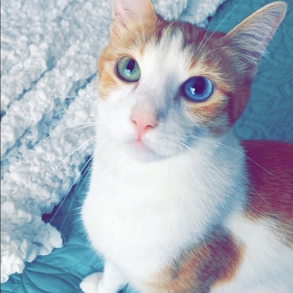 MEET ME! - Picture 3 of 4