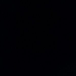 Meet your Posher, Devon