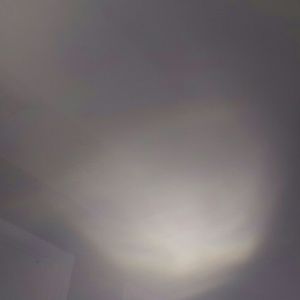 Meet your Posher, Neece