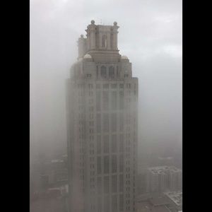 Meet your Posher, Bruce