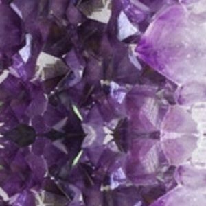 Meet your Posher, Supriya