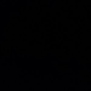 Meet your Posher, Debby