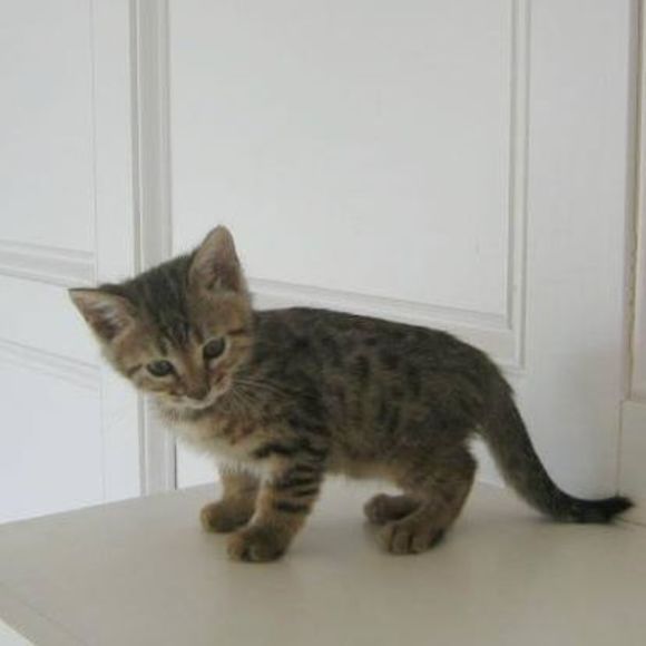 Meet your Posher, Lisa - Picture 1 of 1