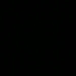 Meet your Posher, Bailey