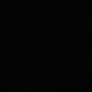 Meet your Posher, Tanik