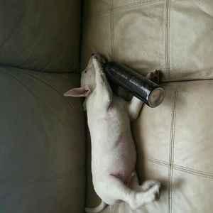 Meet your Posher, Jose