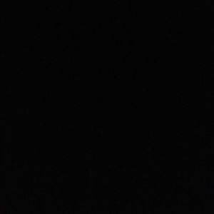 Meet your Posher, Kylee